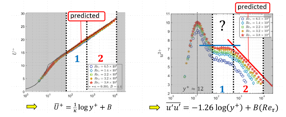 Attached Eddy Hypothesis AE2